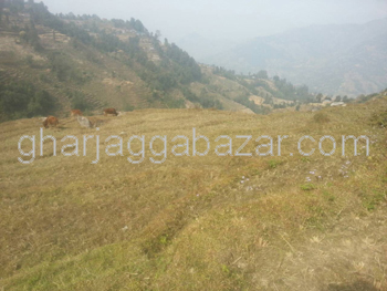 Land on Sale at Sunkhani Thapagaun